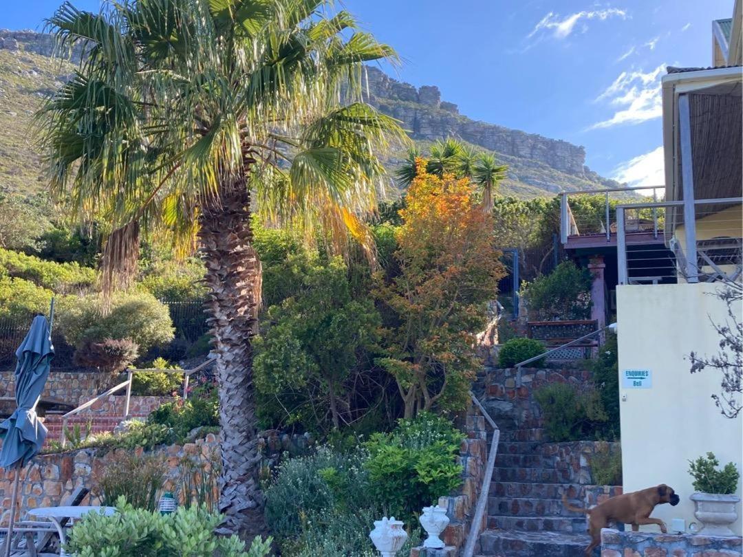 Dunvegan Lodge Clovelly Exterior photo